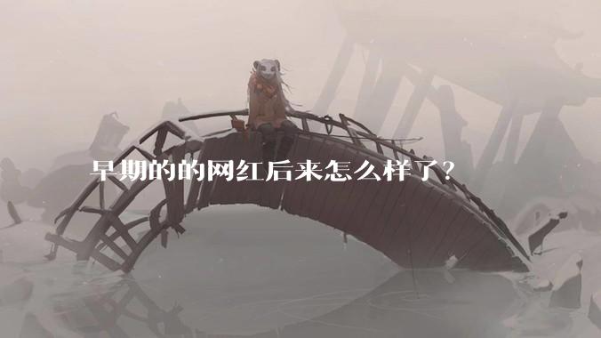 早期的的网红后来怎么样了？