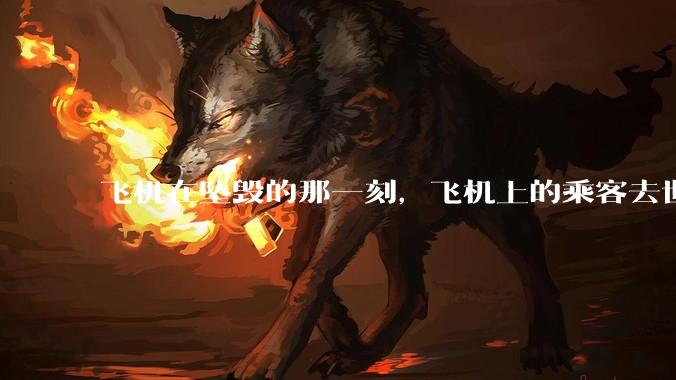飞机在坠毁的那一刻，飞机上的乘客去世的过程 会不会很痛？
